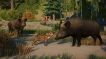BUY Planet Zoo: Eurasia Animal Pack Steam CD KEY