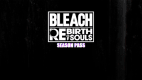 BLEACH Rebirth of Souls - Season Pass